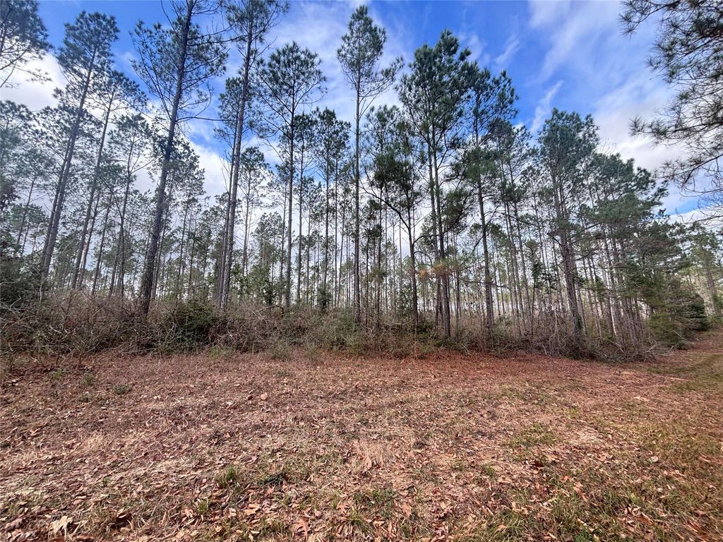 Photo of 0 Fm 1005, Jasper, TX 75951 (MLS # 86276944)