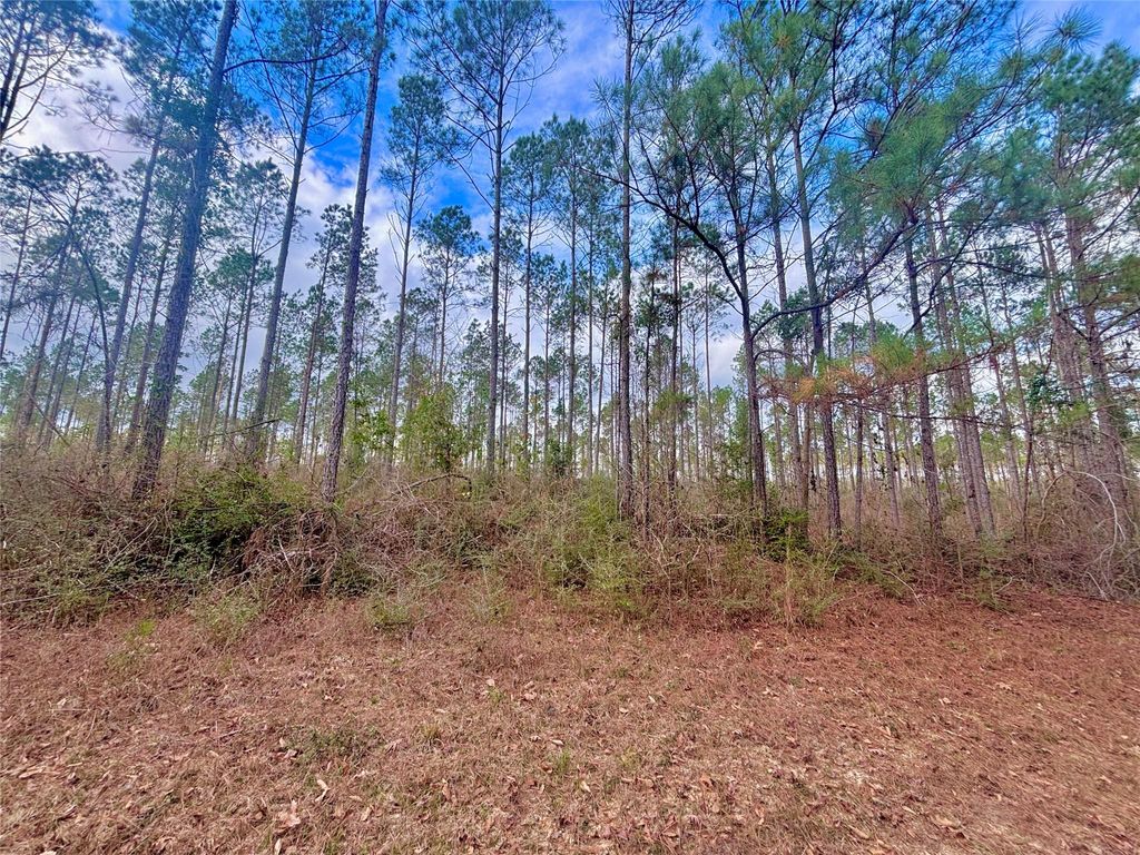 Photo of 0 Fm 1005, Jasper, TX 75951 (MLS # 86276944)