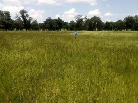 Photo of 7 Tbd Pr 1311, Centerville, TX 75833 (MLS # 65750904) Photo of 7 Tbd Pr 1311, Centerville, TX 75833 (MLS # 65750904)