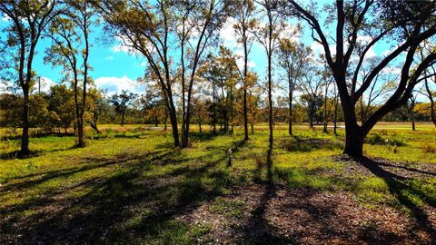 Photo of 32002 Amberjack Drive, Richwood, TX 77515 (MLS # 15173954)