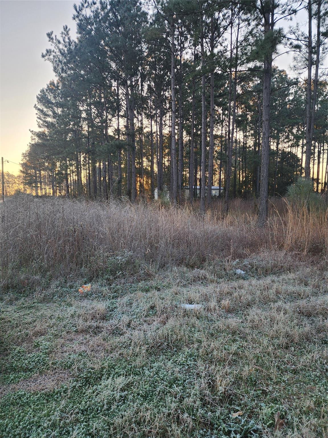 133 County Road 5003