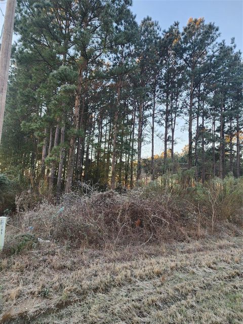 Vacant Land For Sale - 133 County Road 5003<br/> Cleveland, TX 77327