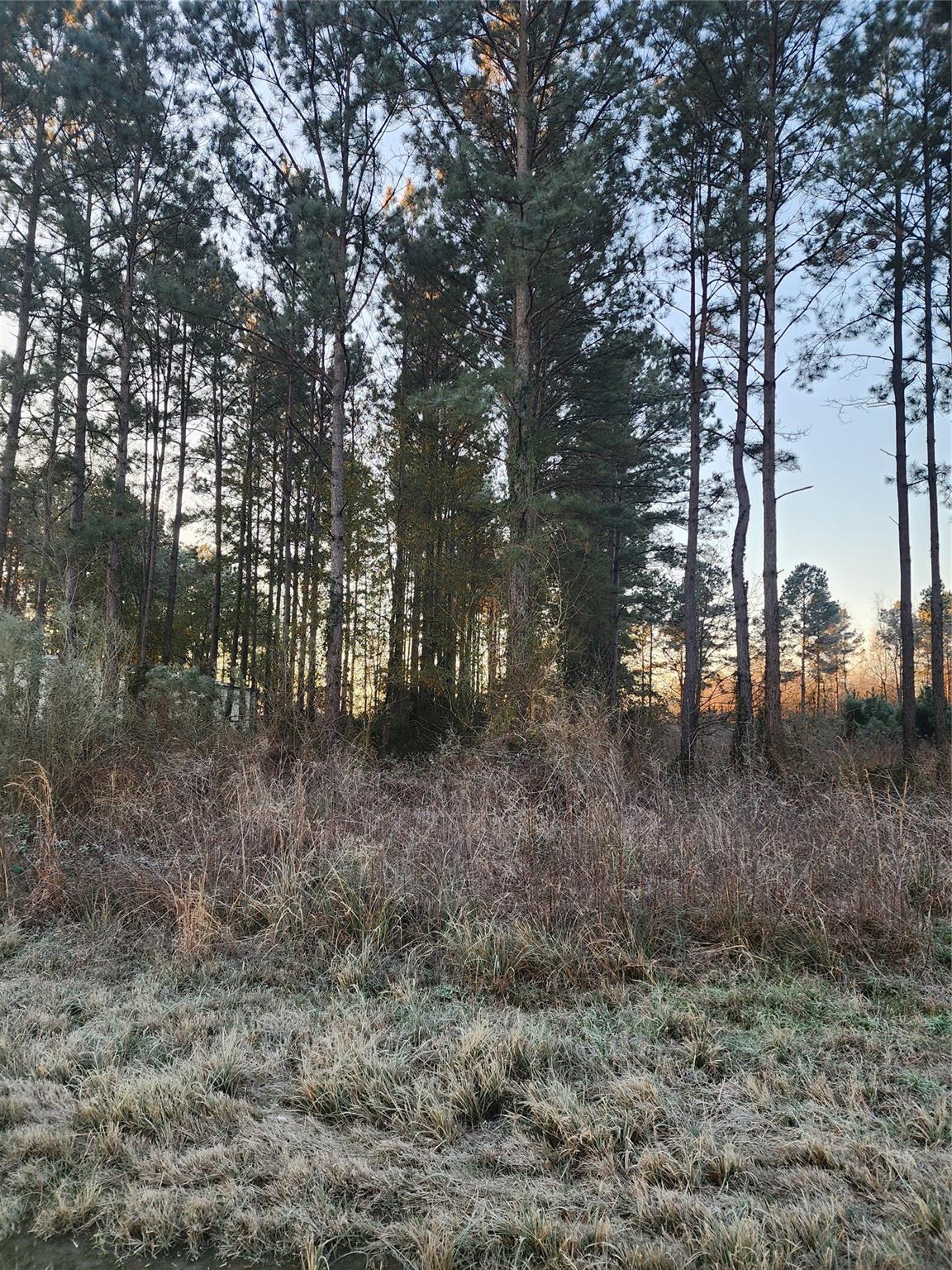 133 County Road 5003