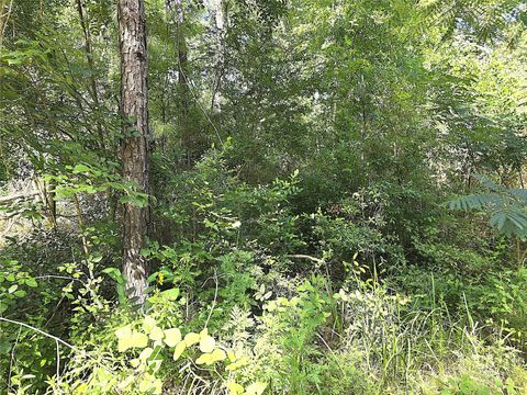 Photo of TBD Newberry Drive, Livingston, TX 77351 (MLS # 91640890) Photo of TBD Newberry Drive, Livingston, TX 77351 (MLS # 91640890)