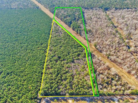 Vacant Land For Sale - 0 & 00 Pelican Road<br/> Shepherd, TX 77371