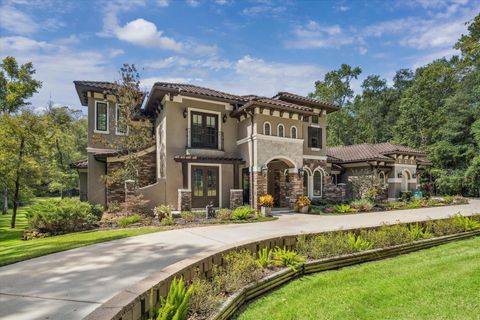 Tiny photo for 7373 Teaswood Drive, Conroe, TX 77304 (MLS # 52514077)