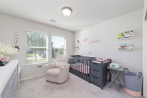 219 Murrieta Lane Rosharon TX 77583