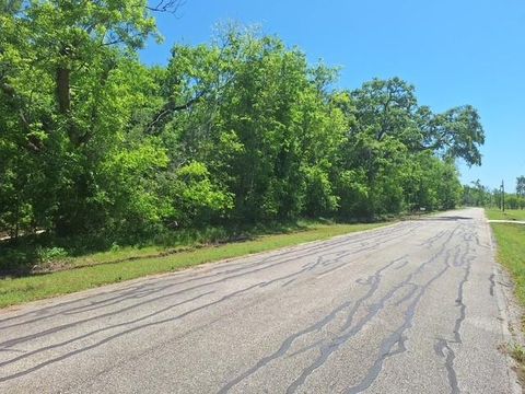 Photo of 129 Pin Oak Drive, Angleton, TX 77515 (MLS # 29440054)