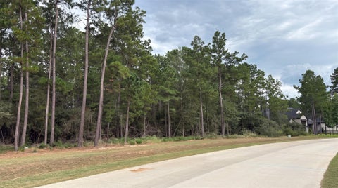 Photo of 7241 Red Oak Grove Road, Montgomery, TX 77316 (MLS # 54502779)