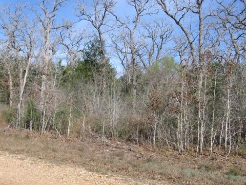Photo of 100 Rainbow Circle, Somerville, TX 77879 (MLS # 55495758)