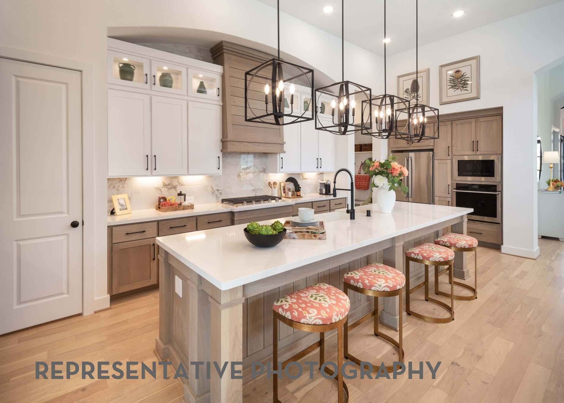 16507 Cheerful Trail