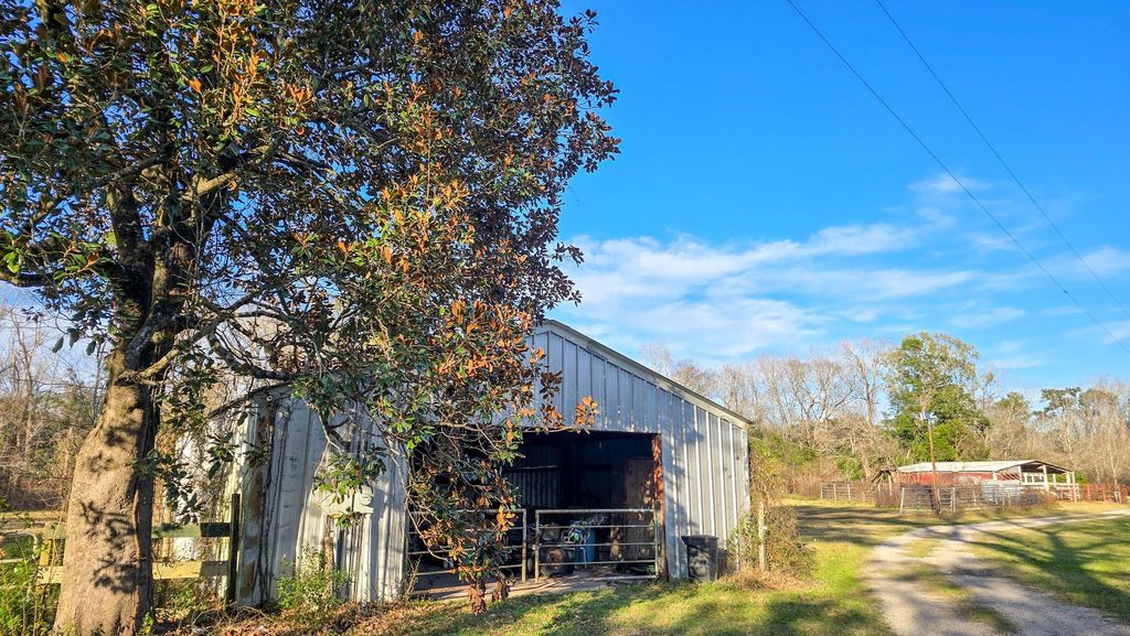 Photo of 24995 Howser Drive, New Caney, TX 77357 (MLS # 55681907)