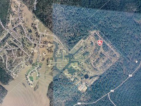 Photo of 12 Hillsborough Drive, Huntsville, TX 77340 (MLS # 50250797)