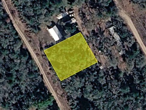 Vacant Land For Sale - Magnolia Drive<br/> Burleson County, Caldwell, TX 77836