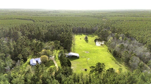 Photo of 5146 Richardson Rd E RD, Livingston, TX 77351 (MLS # 25341950)