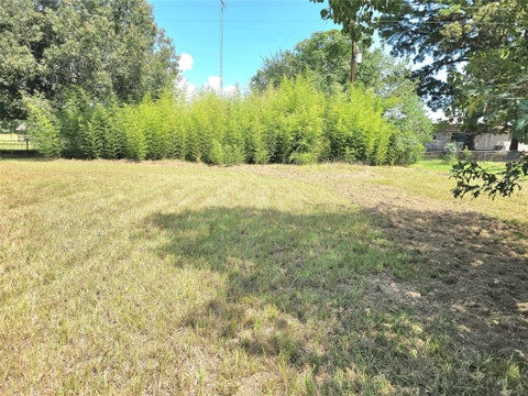Vacant Land For Sale - LOT 15 Monticello Street<br/> Trinity County, Trinity, TX 75862