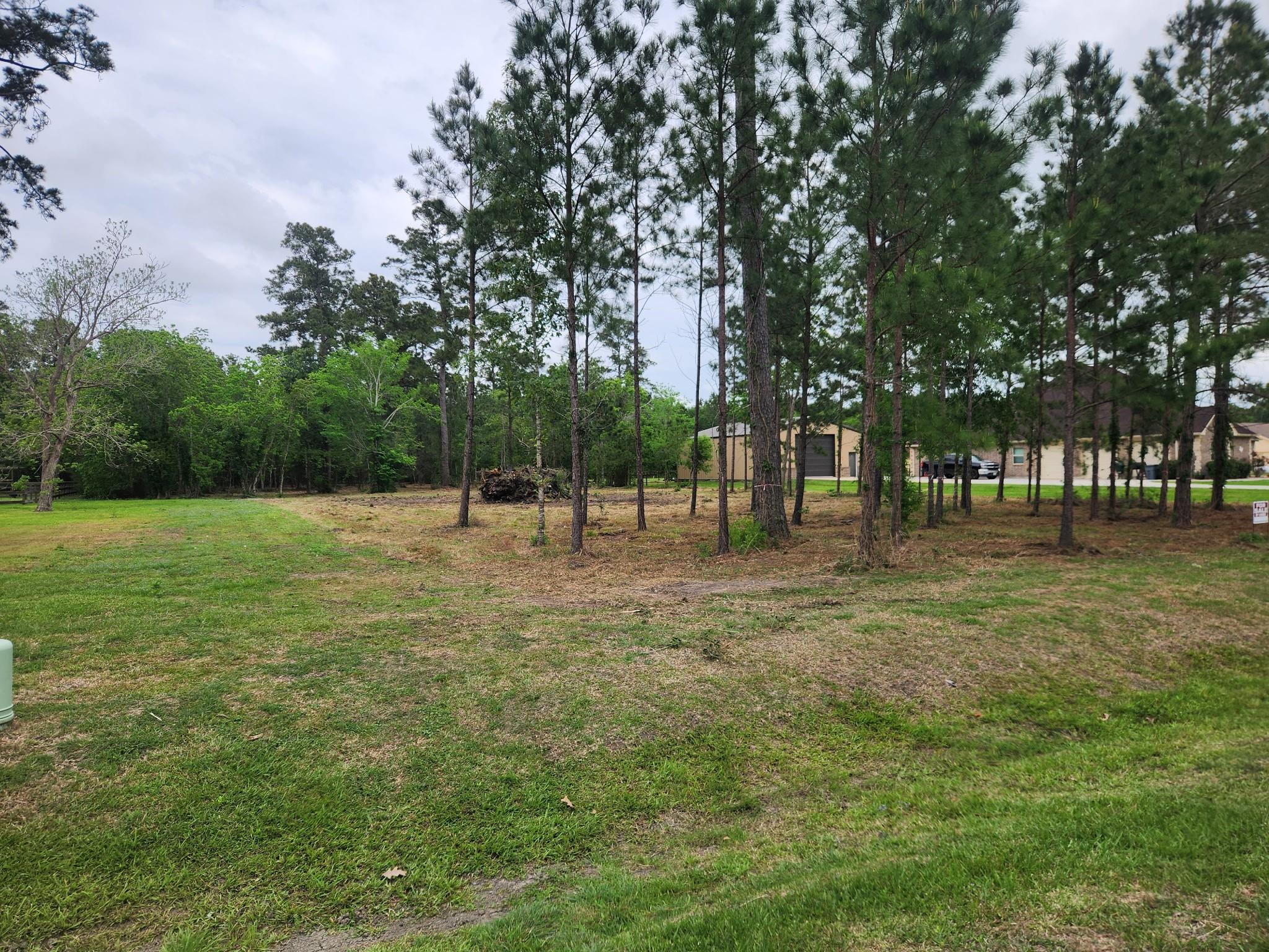 7203 Bayou Timbers Drive