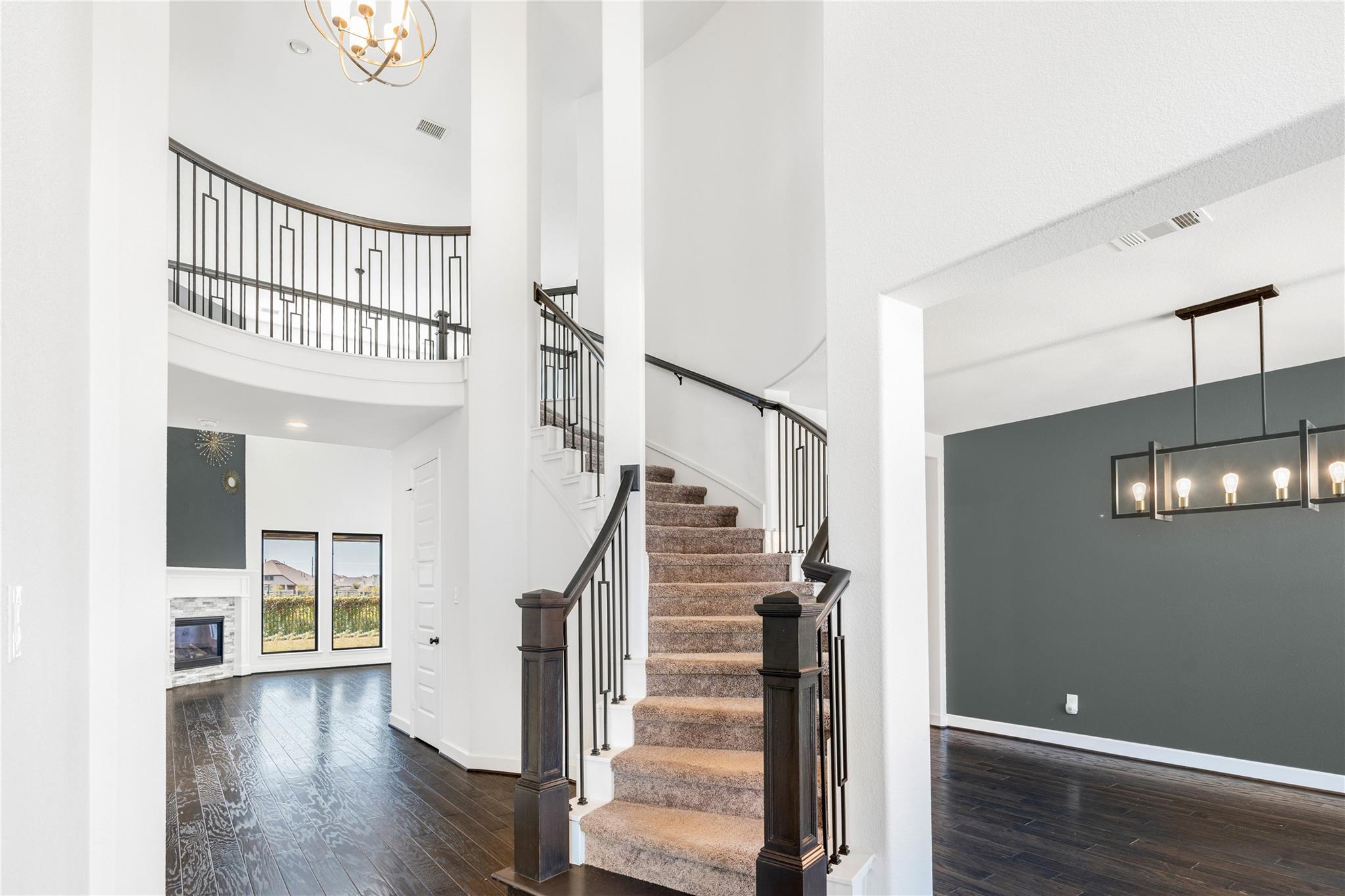 23823 Silver Liriope Lane