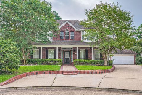 17 Leandro Court Montgomery TX 77356