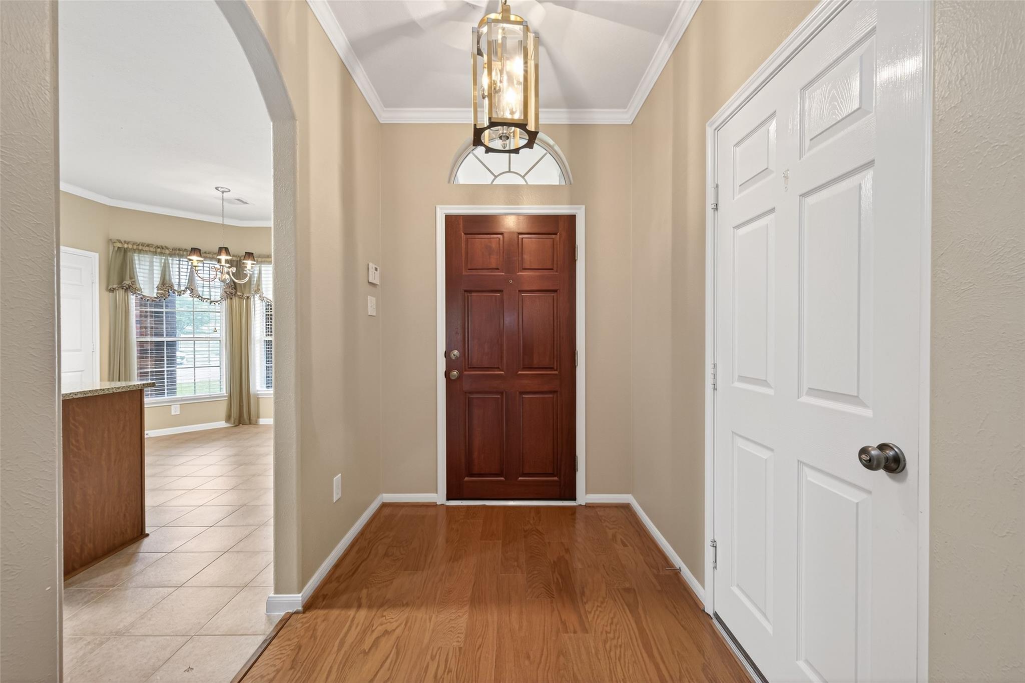 24514 Twisted Birch Court