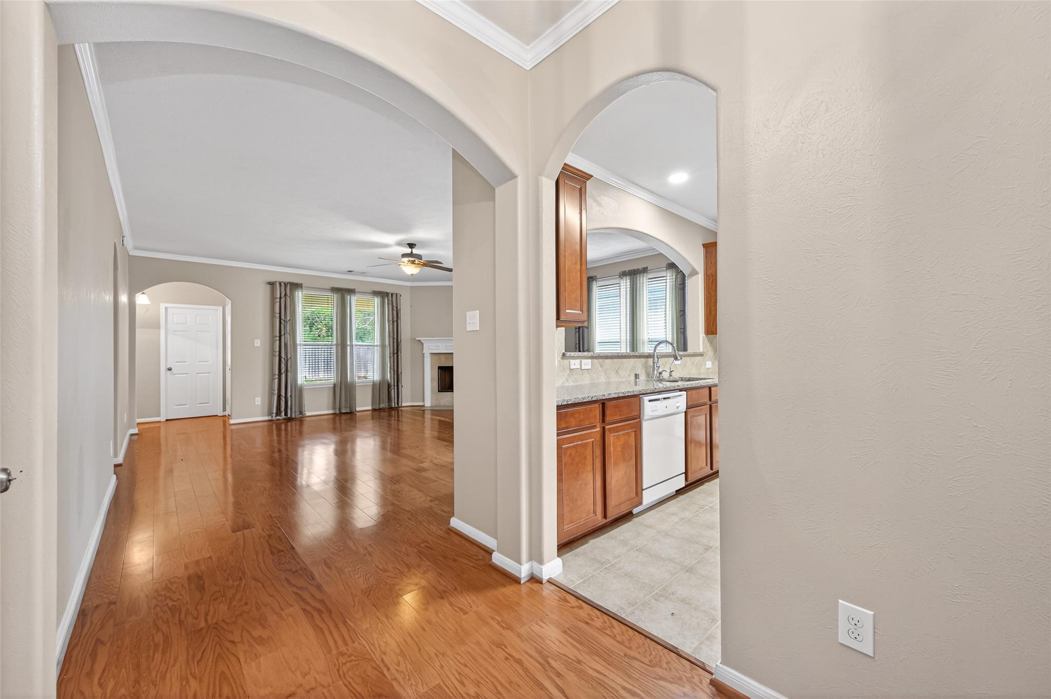 24514 Twisted Birch Court