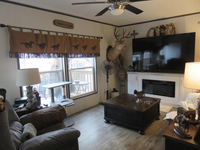 33131 Dogwood Street