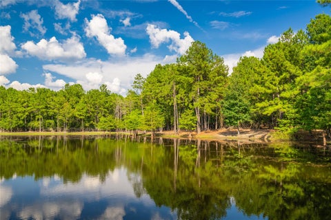 Photo of 0 Weaver Bend Drive, Huntington, TX 75949 (MLS # 37281015)