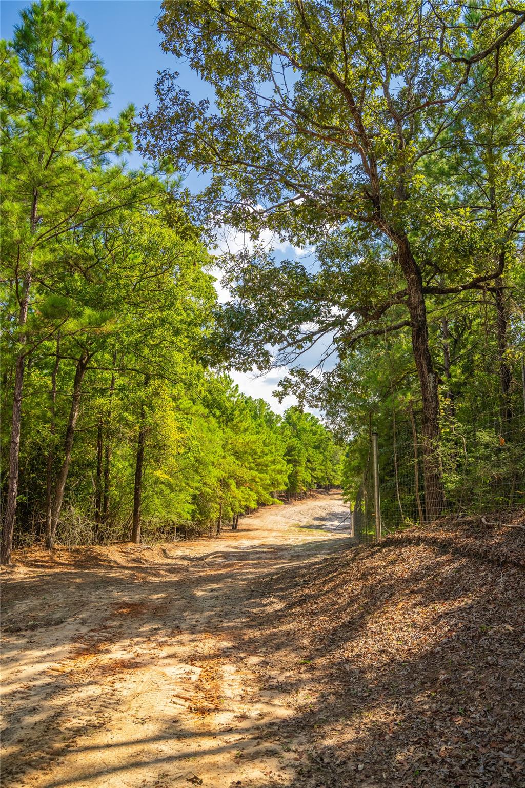 0 Weaver Bend Drive