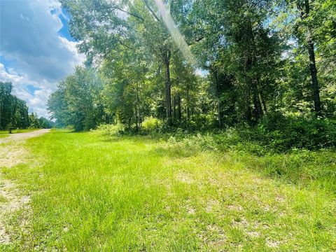 Photo of 25 Wood Haven, Livingston, TX 77351 (MLS # 9254762)