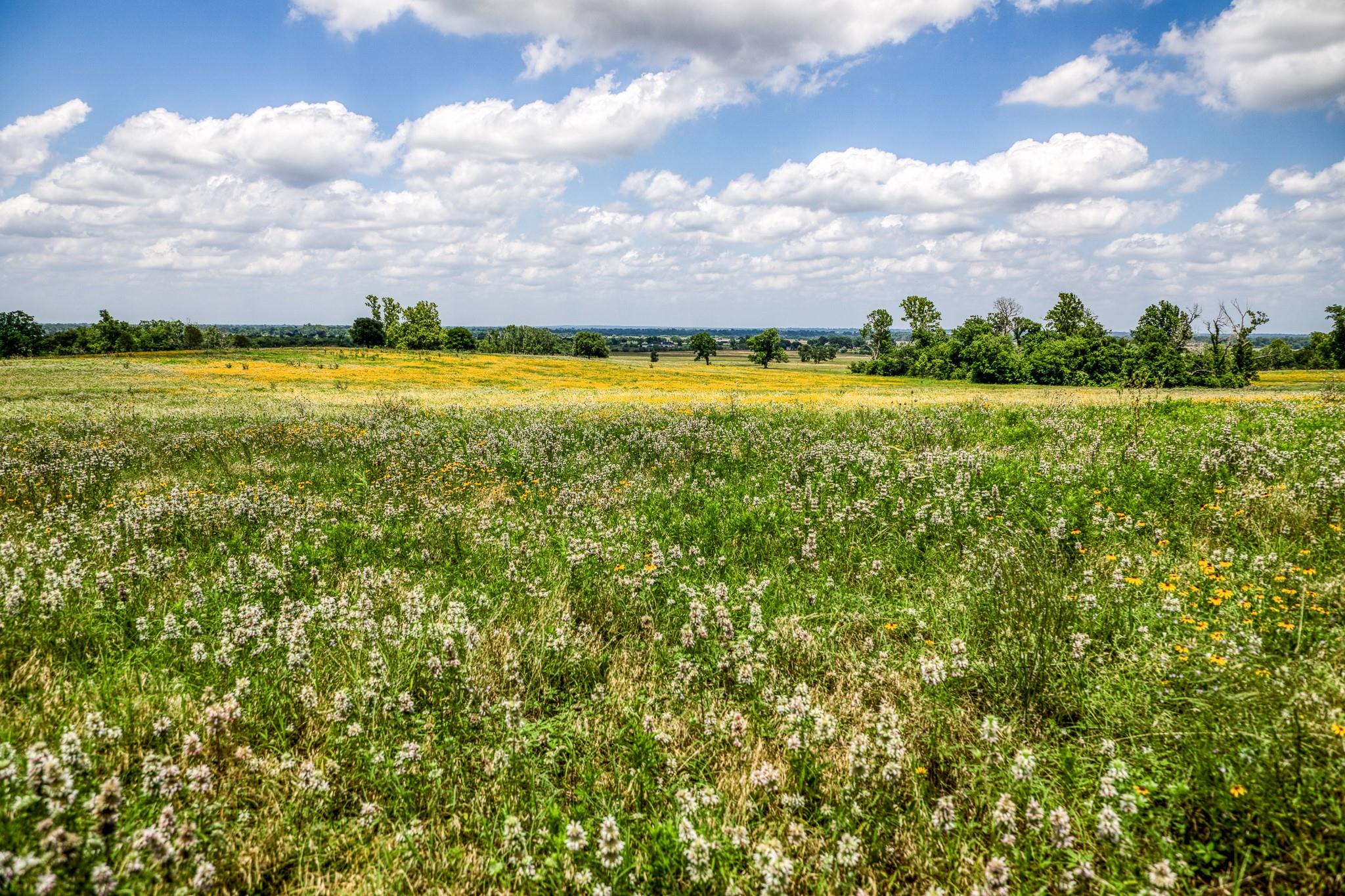 0000 Egypt Lane Lane