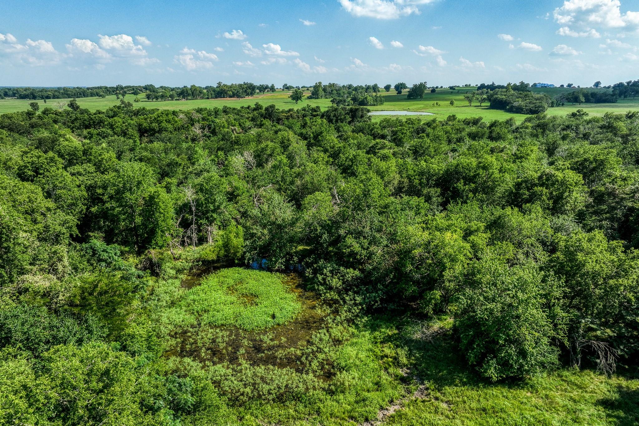 0000 Egypt Lane Lane