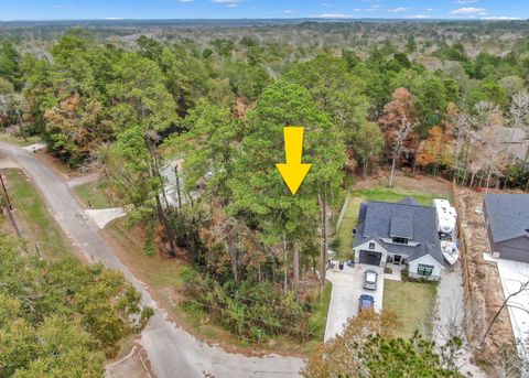 15026 Indian Hill Trail Willis TX 77378