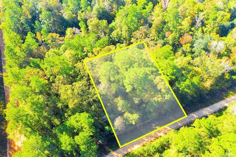 Vacant Land For Sale - LOT 500-502 Patsy Cline Road<br/> Livingston, TX 77351