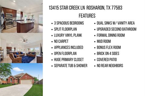 Tiny photo for 13415 Star Creek Lane, Rosharon, TX 77583 (MLS # 50615443)