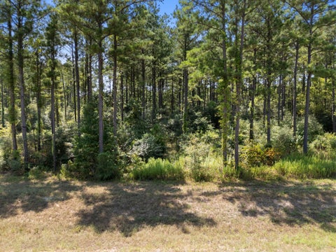 Photo of 15735 Wooded Trail Way, Willis, TX 77378 (MLS # 88296650)