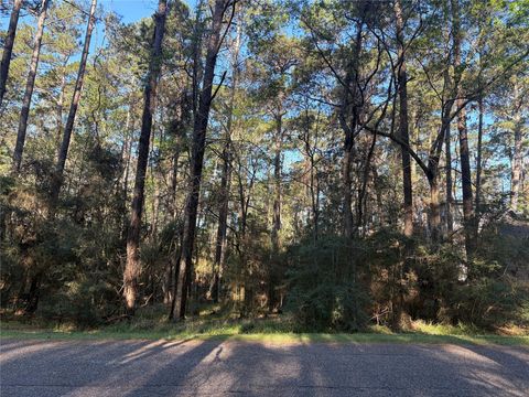 Vacant Land For Sale - 54 Green Tree Drive<br/> Coldspring, TX 77331