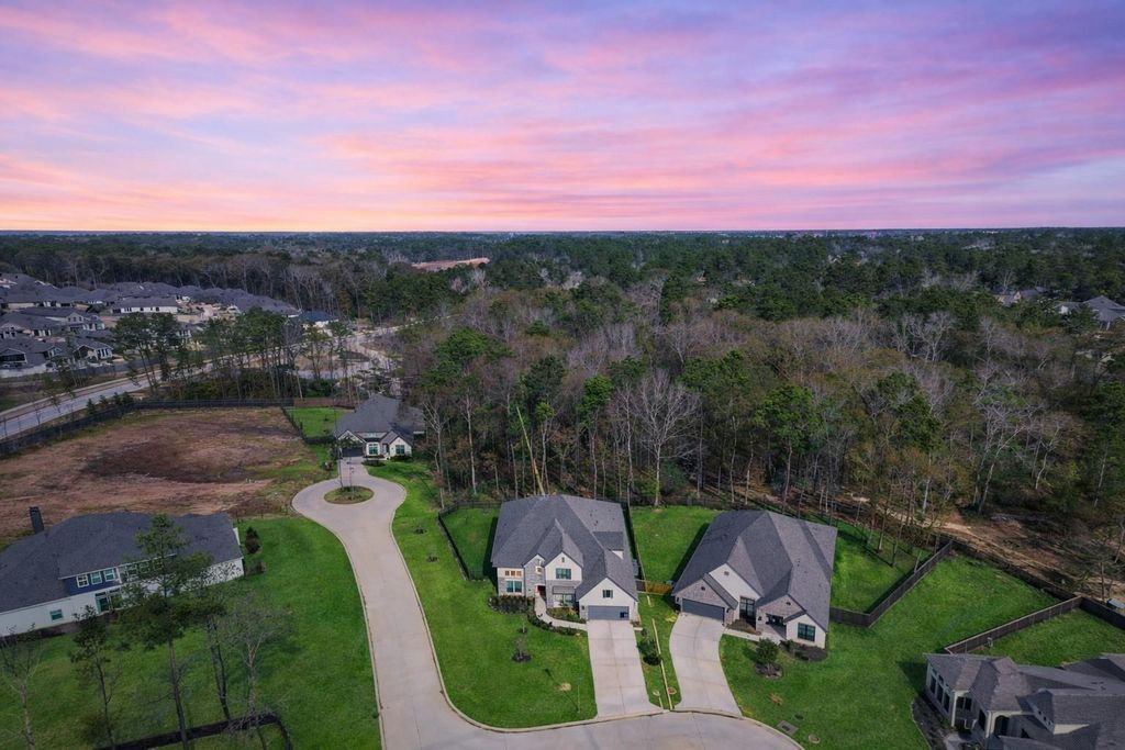 Photo of 208 Twinflower Trail Court, Willis, TX 77318 (MLS # 11730677)