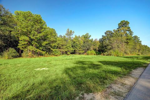 Photo of 189 Rim Rock Road, Huntsville, TX 77340 (MLS # 68171282)
