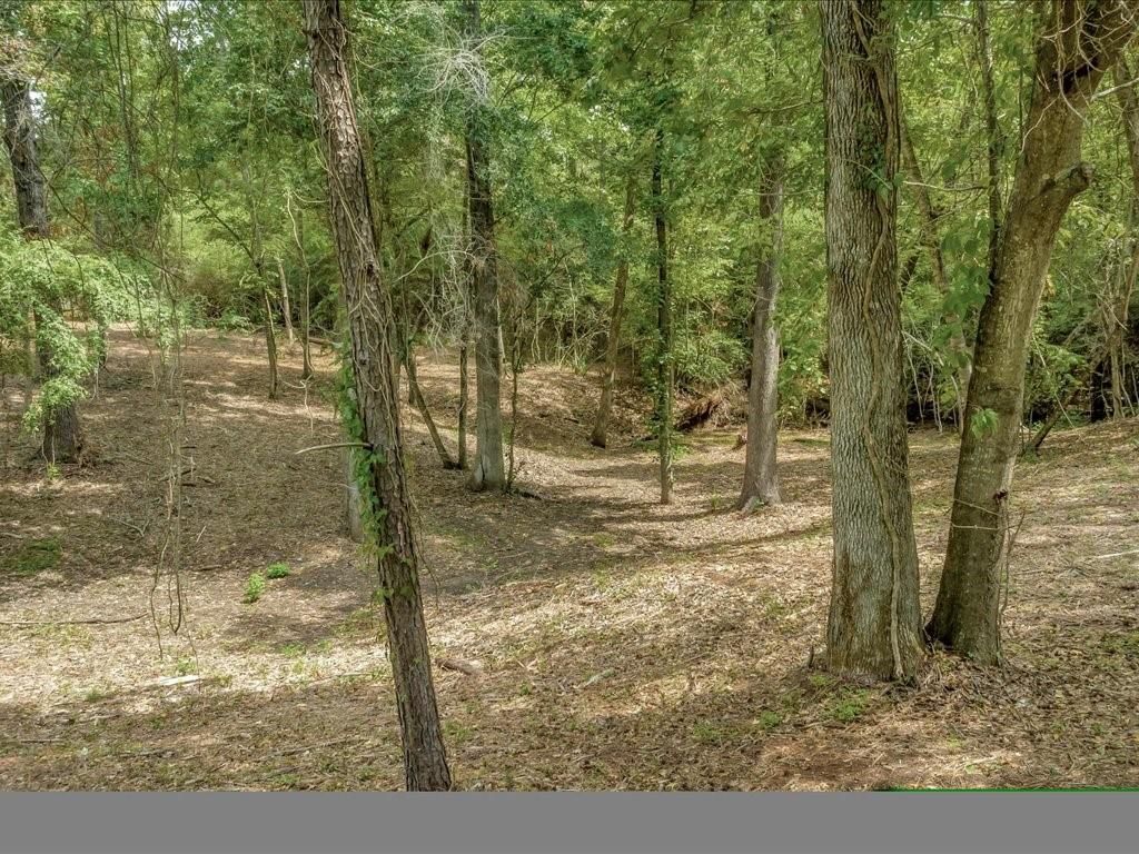 Photo of TBD Commodore And Brame Drive, Livingston, TX 77351 (MLS # 68103594)