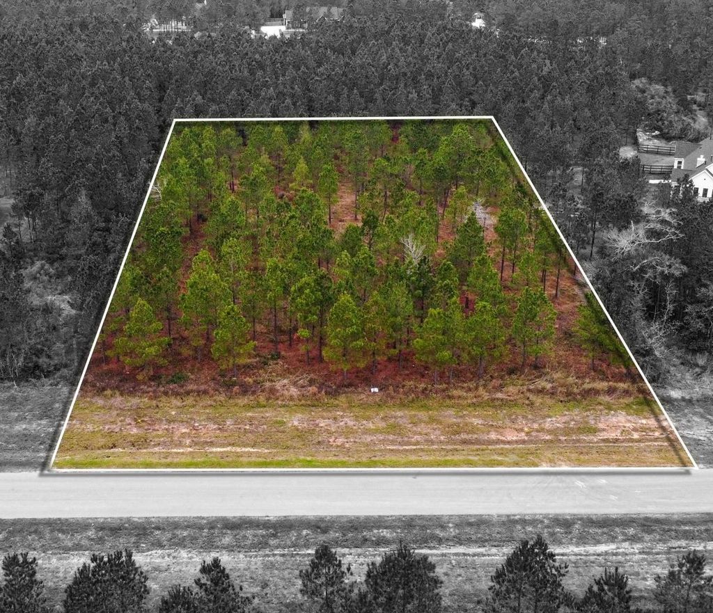 Photo of 12677 Oak Barrel Road, Willis, TX 77378 (MLS # 70021075)