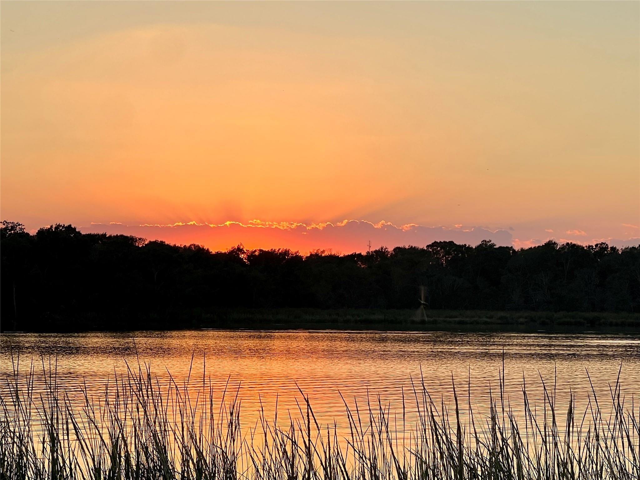 1223 Goldendale Drive