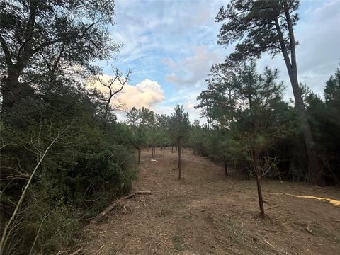 Vacant Land For Sale - TRACT 12 Fm 230<br/> Lovelady, TX 77854