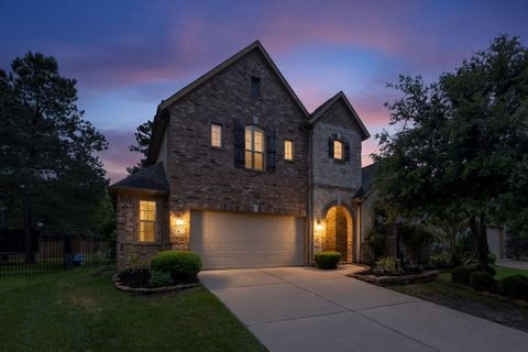 Photo of 6 Twig Corner Court, The Woodlands, TX 77375 (MLS # 4395474)