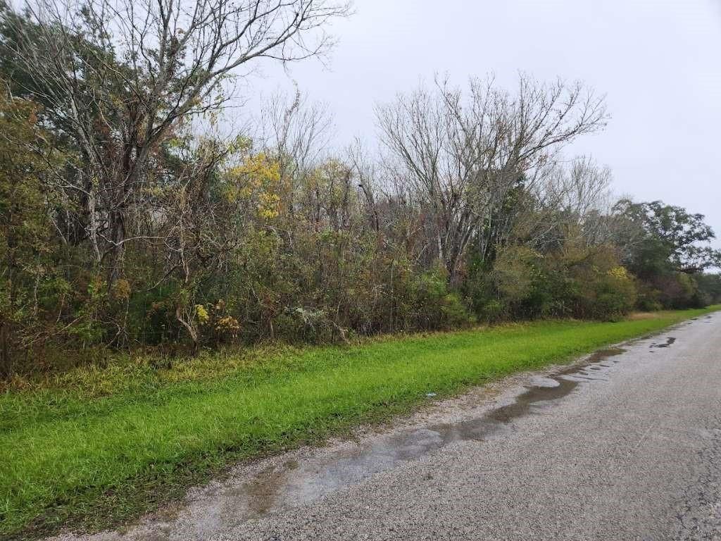 Photo of 0 County Road 279 Road, Cedar Lake, TX 77414 (MLS # 29116146)