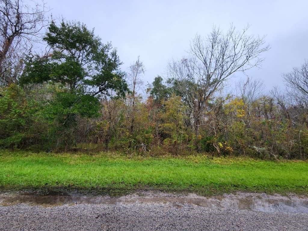 Photo of 0 County Road 279 Road, Cedar Lake, TX 77414 (MLS # 29116146)