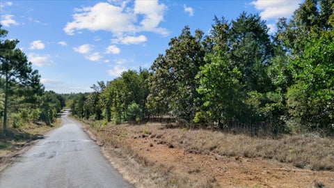 Vacant Land For Sale - 000 Fcr 255<br/> Fairfield, TX 75840