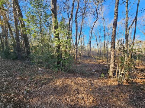 Vacant Land For Sale - LOT 4 Sherwood Drive<br/> Shepherd, TX 77371