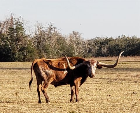 8500 Fm-2004 Hitchcock TX 77563