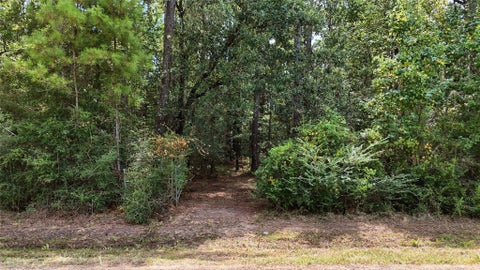 Photo of 126 County Road 126, Liberty, TX 77575 (MLS # 38703919)