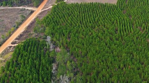 TBD Young Road Livingston TX 77351